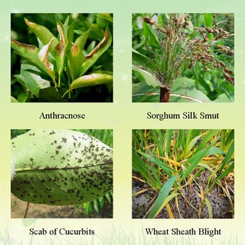 Application Application