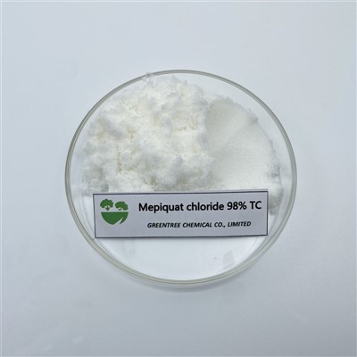 CAS NO. 24307-26-4 Ritardant tat-Tkabbir tal-Pjanti 98 fil-mija Mepiquat Chloride fil-Pjanti tal-Qoton