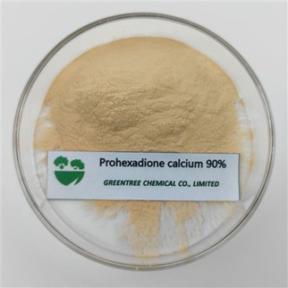 Trab tal-Kalċju Prohexadione 90 fil-mija Tech Għall-Inibizzjoni tal-Formazzjoni tal-Fjura tal-Fjura Pgr 127277-53-6